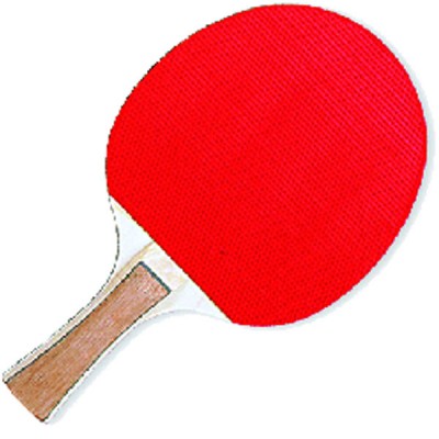 Table tennis racquet - Sandwich 5 Star